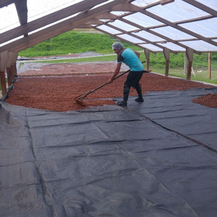Peru Cocoa Powder - High Fat