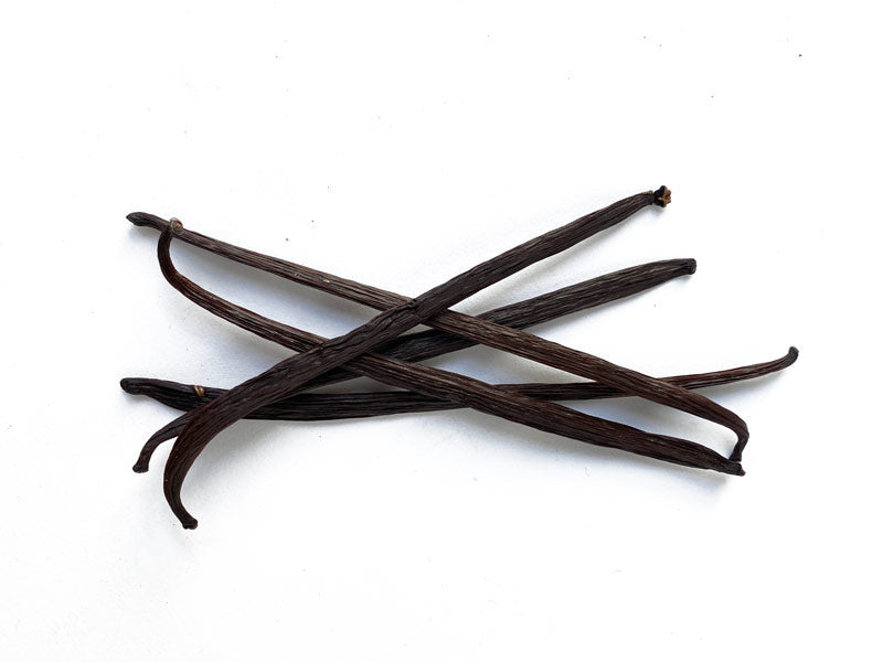 An Intro to Vanilla – Meridian Cacao Co