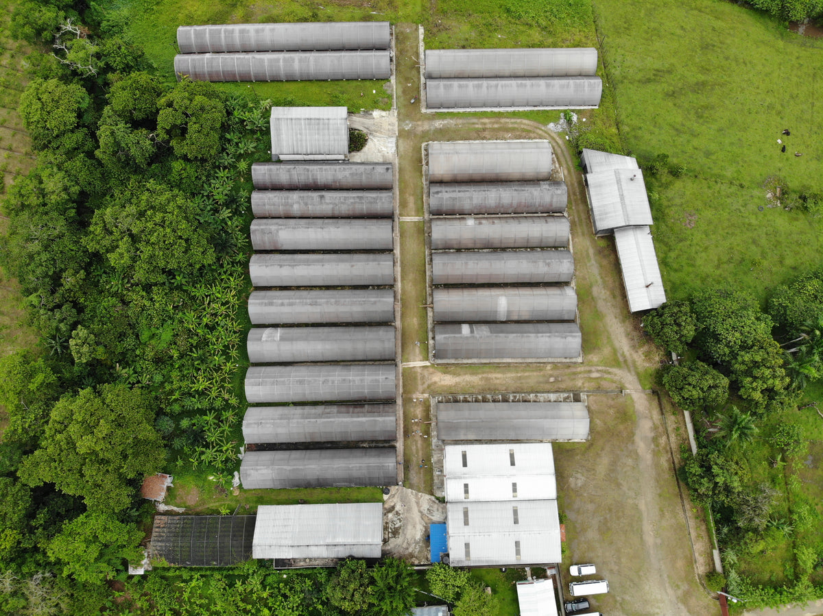 Meridian Cacao Co.