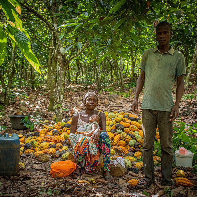 Three Mountains Cacao