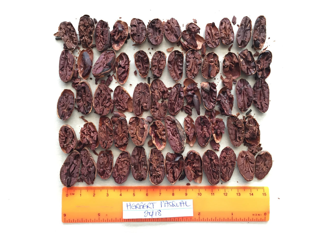 Meridian Cacao Co.