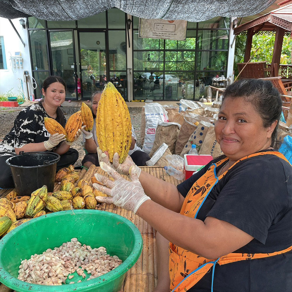 Thailand - Thai Cacao Distribution