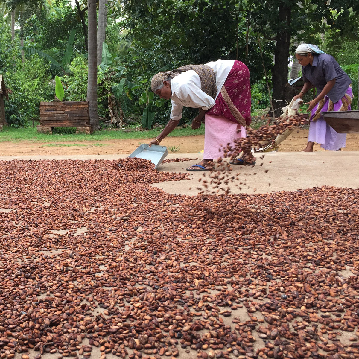 Anamalai Estate