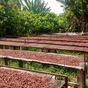 Dak Nong Fermentary – Meridian Cacao Co
