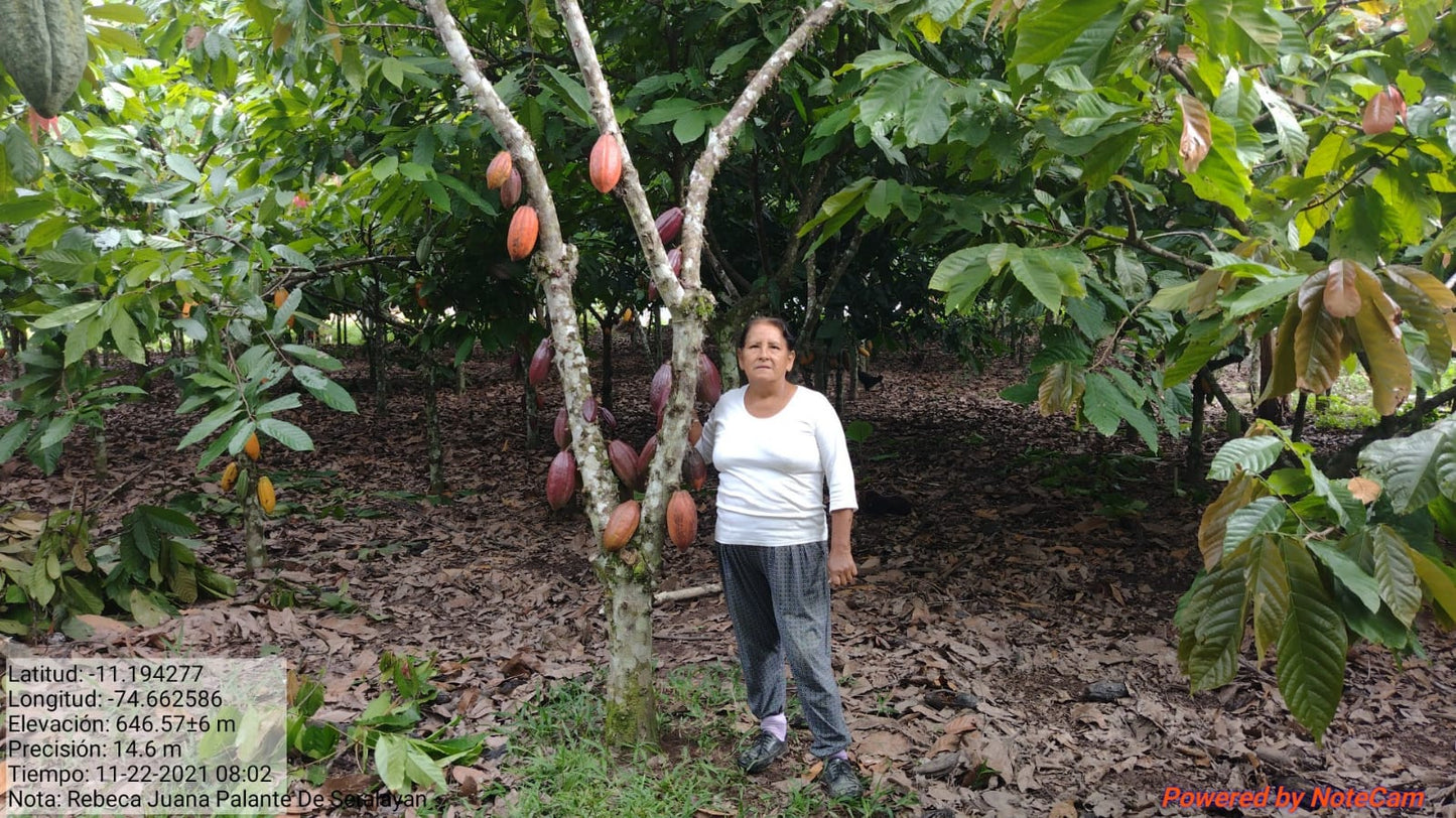 Peru - Tsiriari